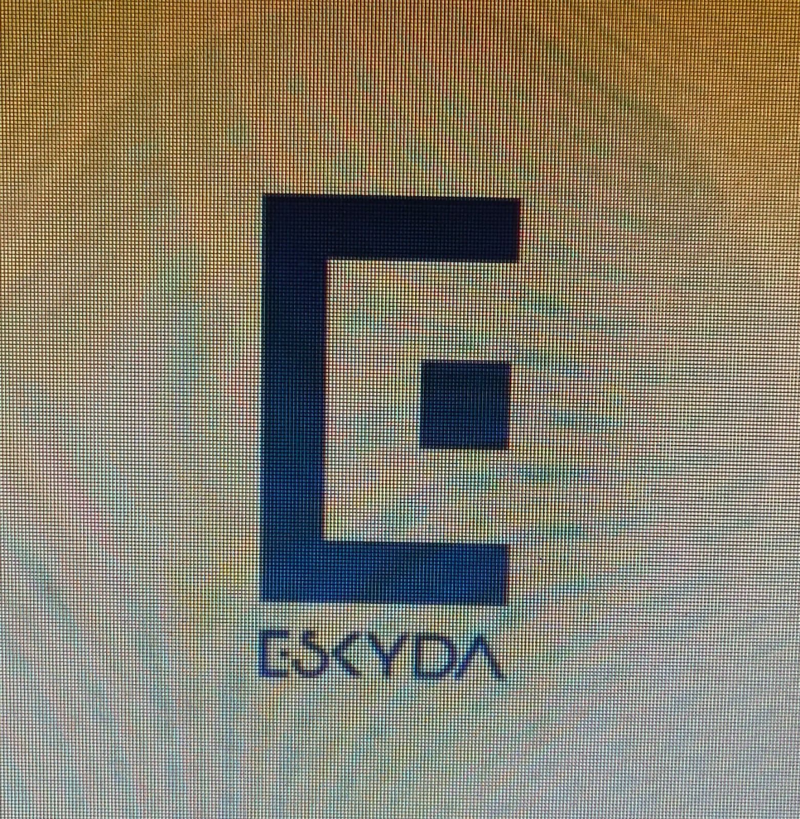 SKYDA CARRYWELL PVT LTD